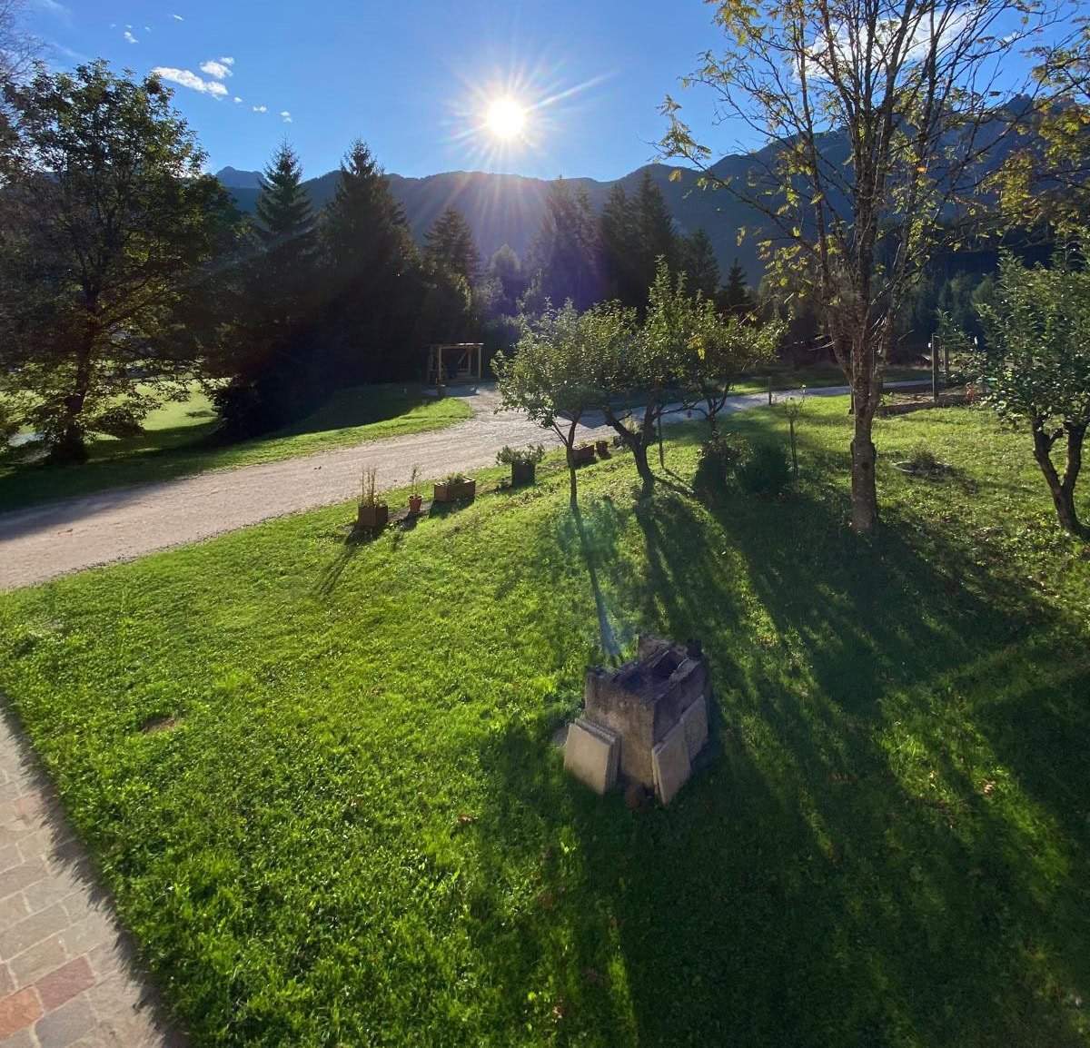 Splendido giardino con alberi e panorama sulle Dolomiti, ideale per relax e natura in estate.