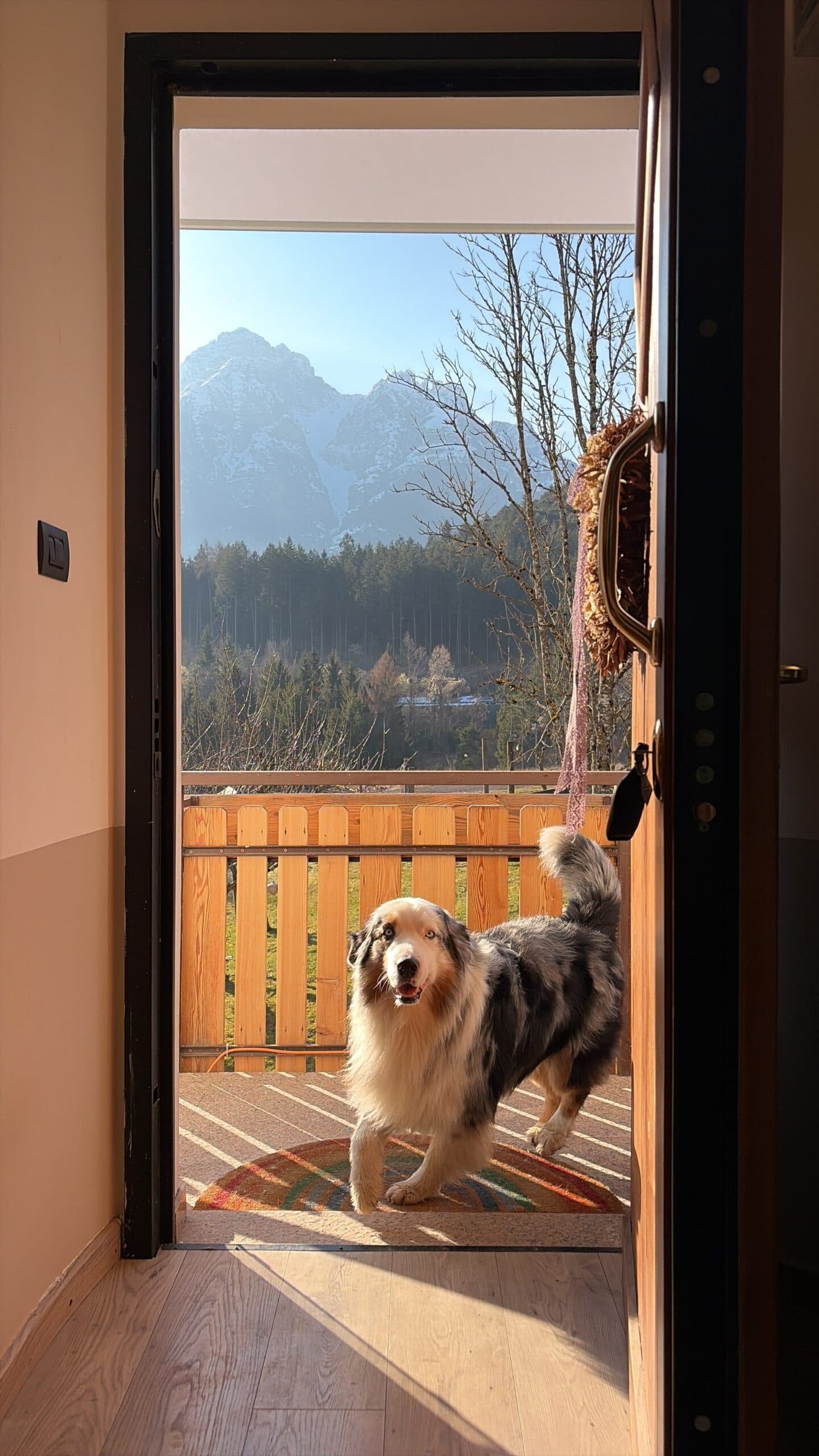 Vista sulle montagne dal portico con cane.