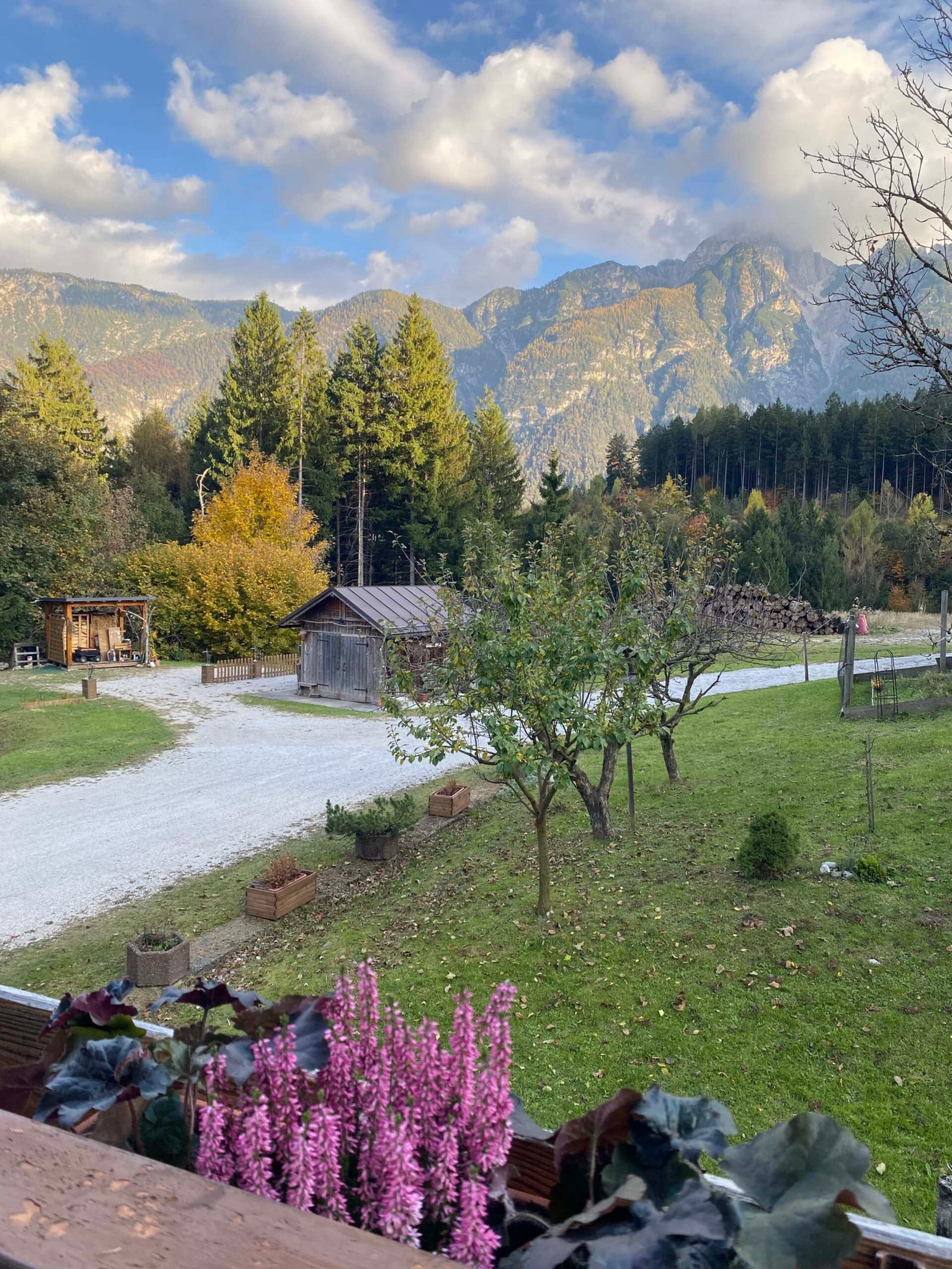 Paesaggio montano con alberi e montagne.